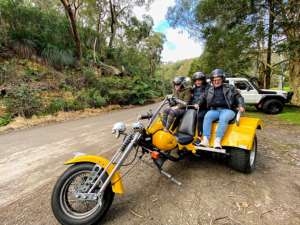 Short disability trike rides,Sydney