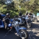 A Harley and trike transfer from the zoo to Manly Wharf. Sydney Australia