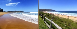 Palm Beach is one of our favourite places in Sydney.