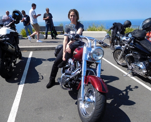 Southern Sydney Harley tour. An escapade from real life.