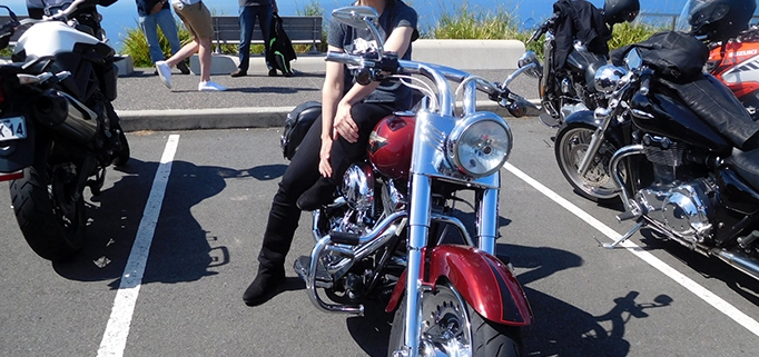 Southern Sydney Harley tour. An escapade from real life.