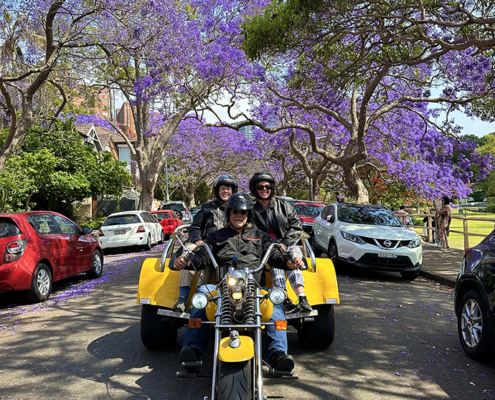 The Sisters Sydney trike tour showed them so many sights, even the beautiful jacarandas.