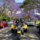 The Sisters Sydney trike tour showed them so many sights, even the beautiful jacarandas.