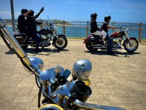 The eastern city beaches tour was a quick way to see the famous eastern suburbs and beaches of Sydney.