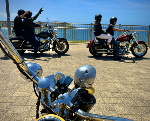 The eastern city beaches tour was a quick way to see the famous eastern suburbs and beaches of Sydney.