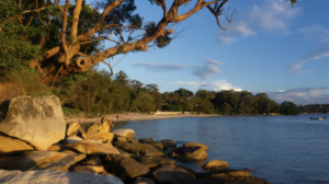 Sydney's Best Parks and Gardens: Tours for Nature Lovers That Save You Money
