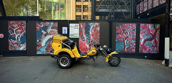 The friend's Sydney holiday tour was a fun trike ride over the 3 main bridges.